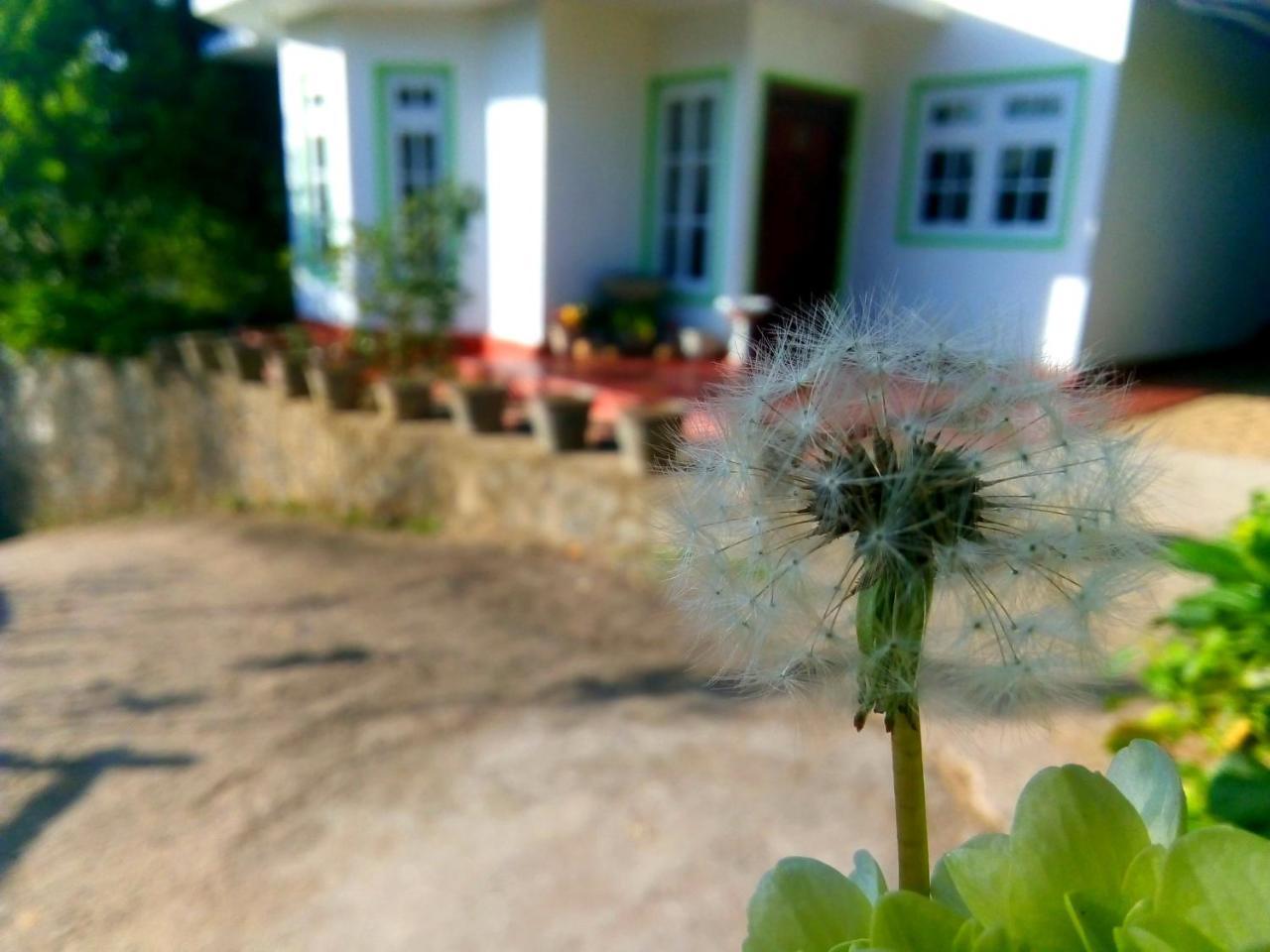 Nuwara Eliya Mountain View Homestay Exterior foto